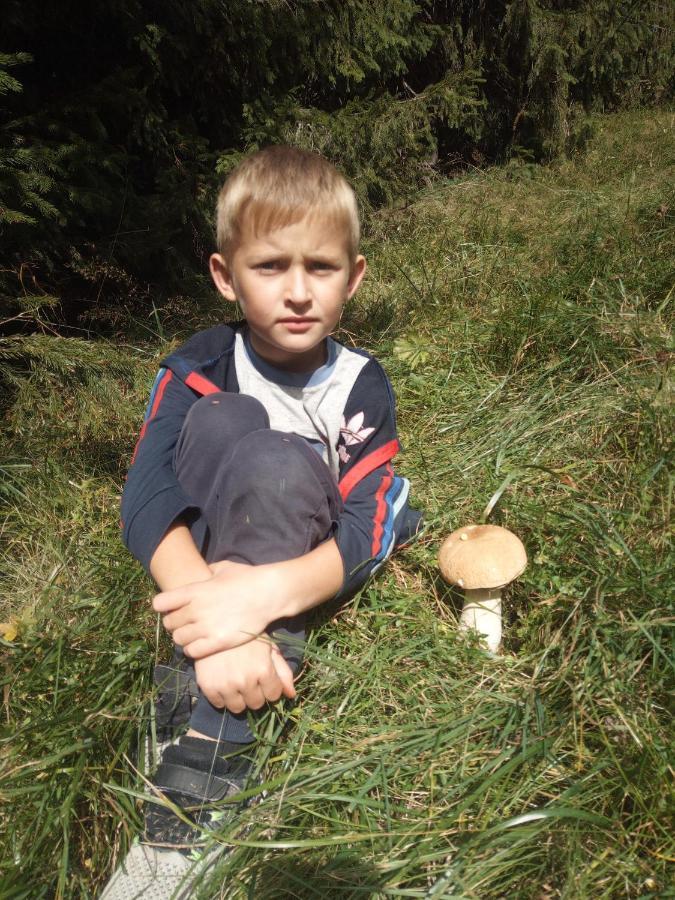 Вілла Fetal Hut - Плідна Хата Верховина Екстер'єр фото