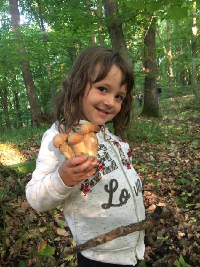 Вілла Fetal Hut - Плідна Хата Верховина Екстер'єр фото
